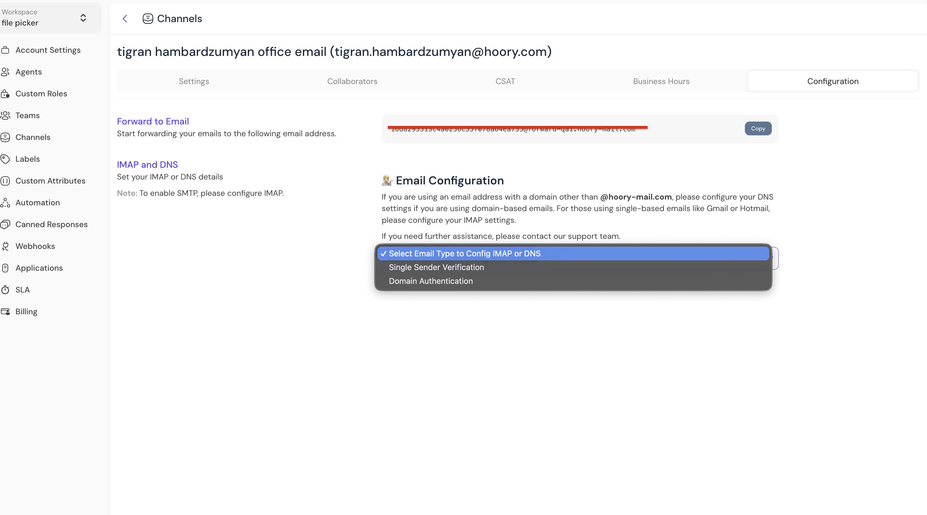 configure dns in hoory