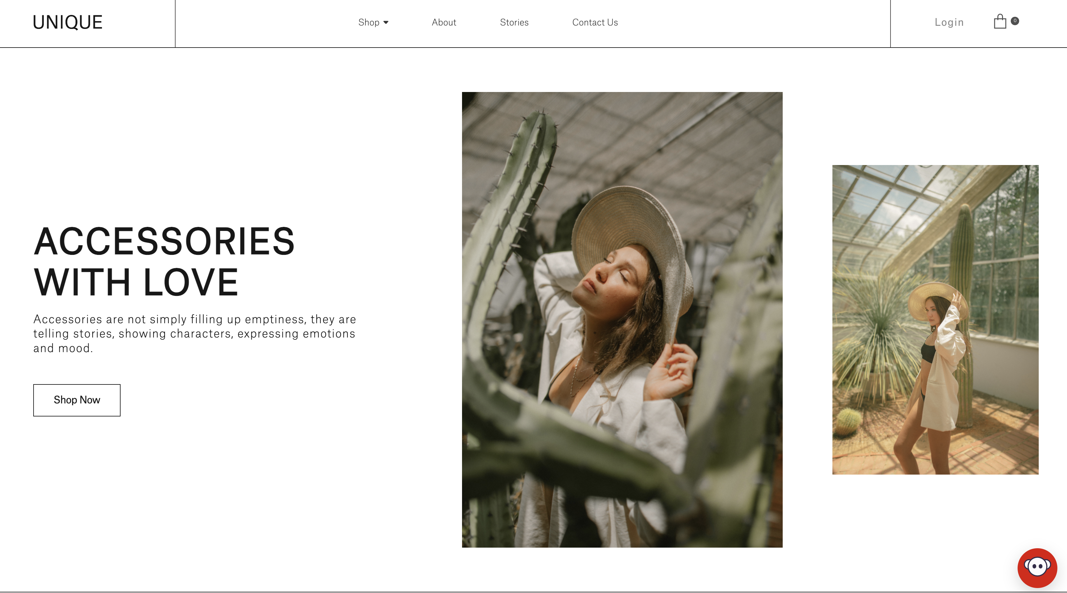 Widget on Website screen shot