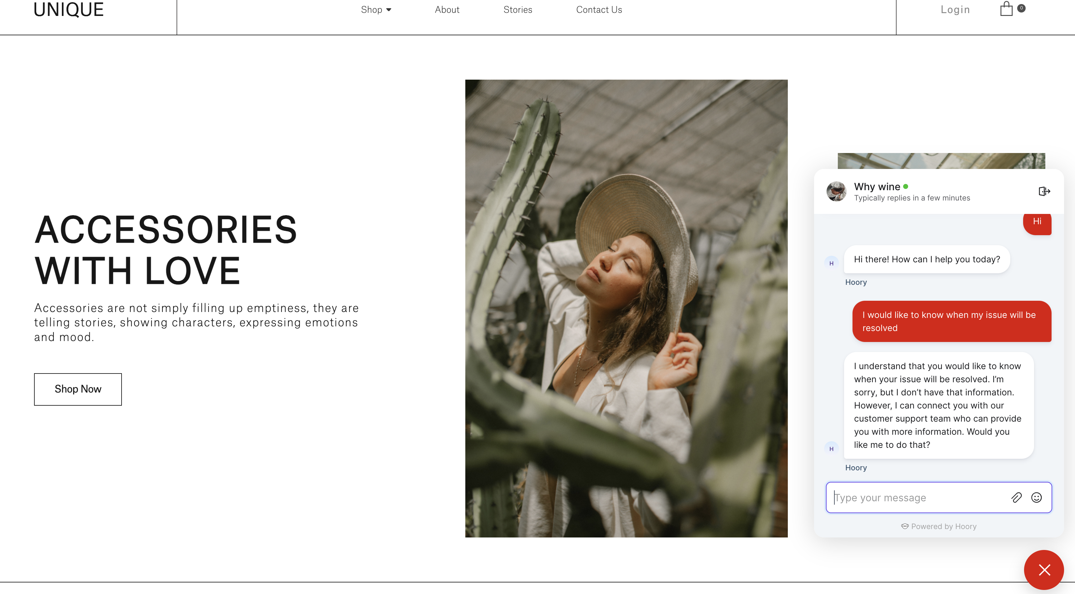 Hoory Tagline screen