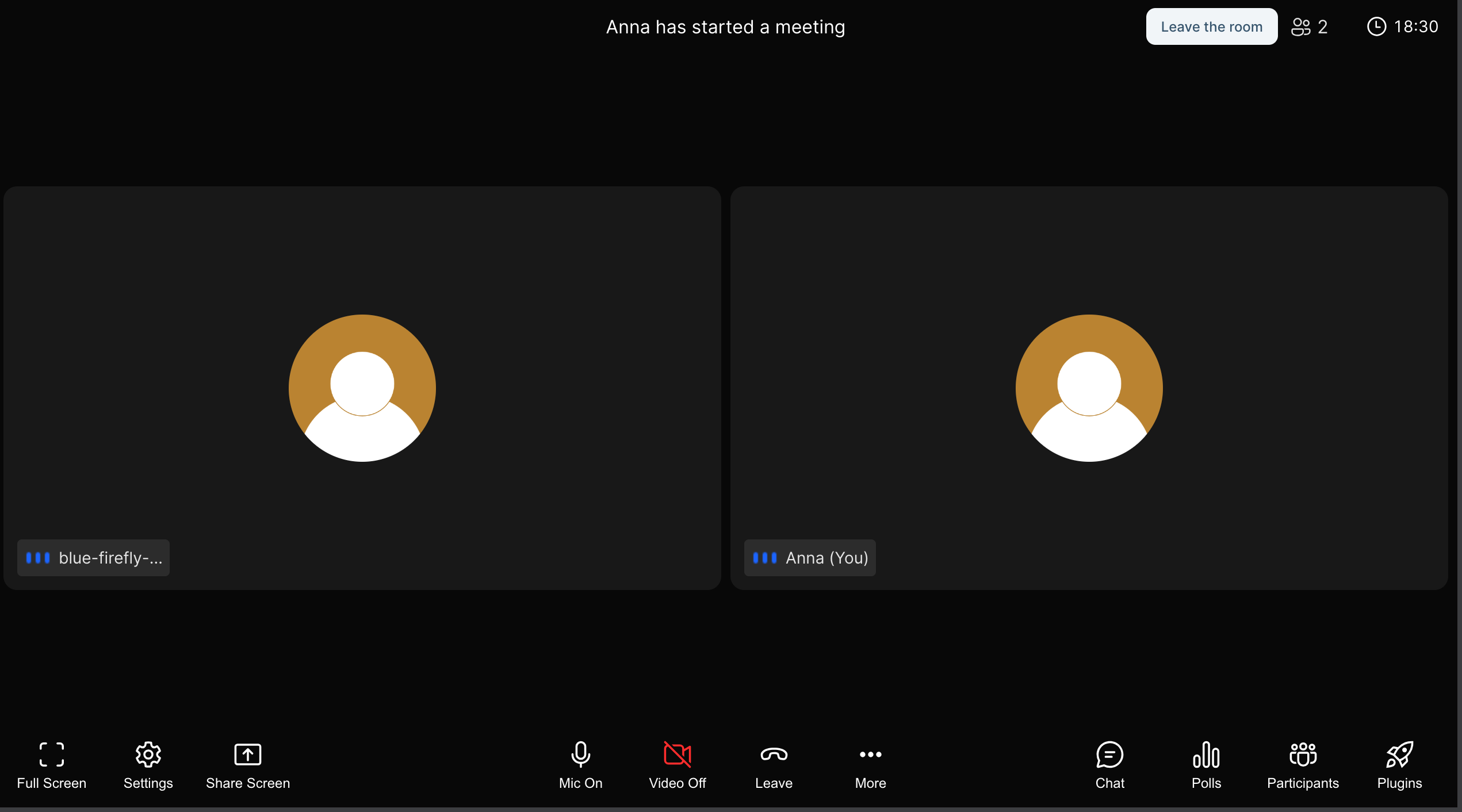 Video Call Interface for Agents